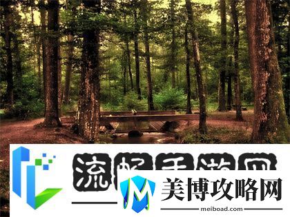 降央卓玛B多大：探索音乐天才的成长之路